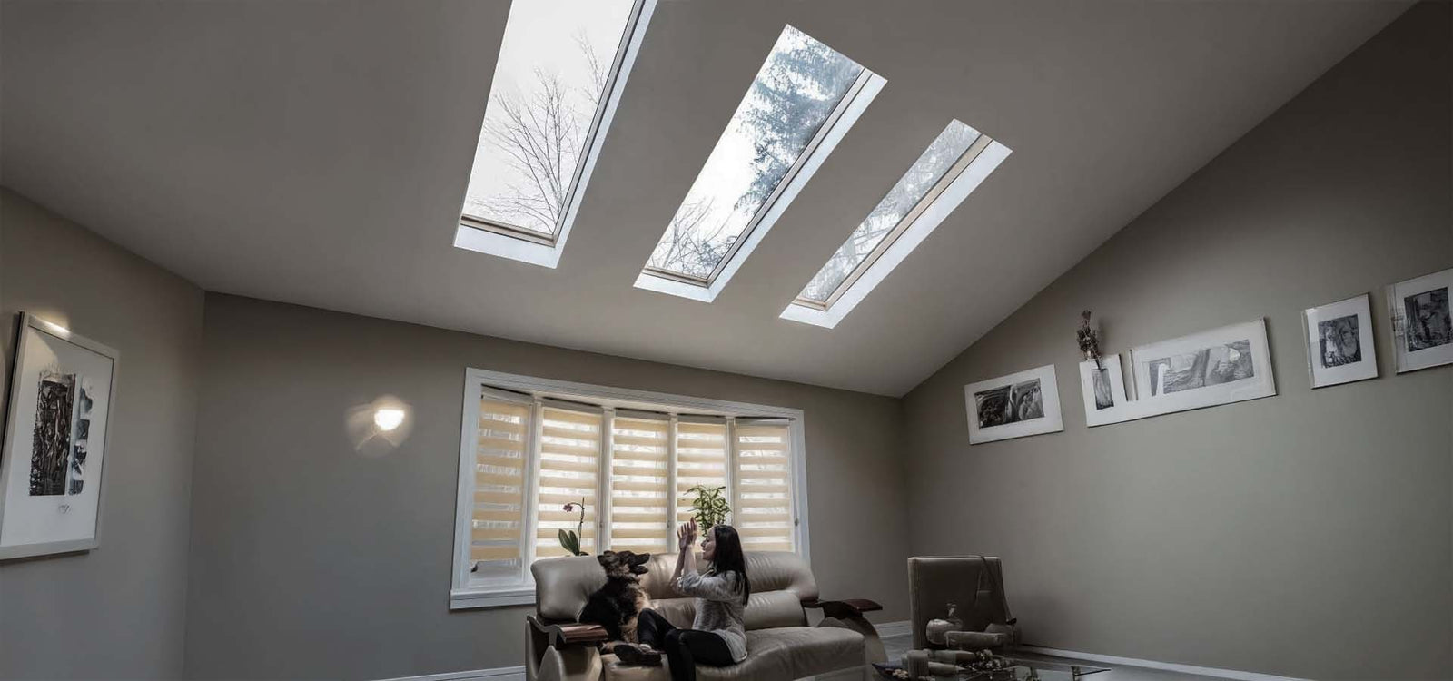 Living Room With Three Rectangular Skylights A Woman Sitting On A Couch Playing With Her Dog