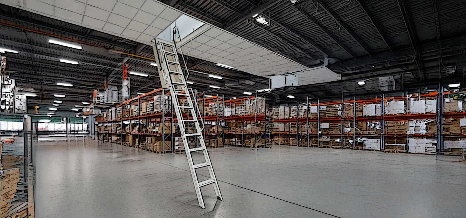 Rainbow F-Series Ladder in Warehouse
