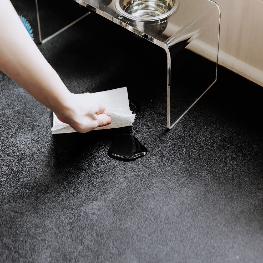 A Hand Using A White Paper Towel To Clean Up A Small Spill On A Pet Flooring Mat Next To A Clear Elevated Pet Feeding Station