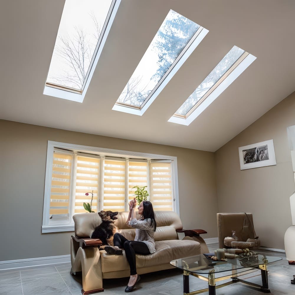 Modern Living Room With Three Rectangular Skylights A Woman Sitting On A Couch Playing With Her Dog