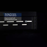 NewAge Pro Series Corner Wall Cabinet Back View With Perforated Walls For Easy Installation