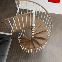 Rintal Phola Spiral Staircase Walnut Treads White Frame Overhead View